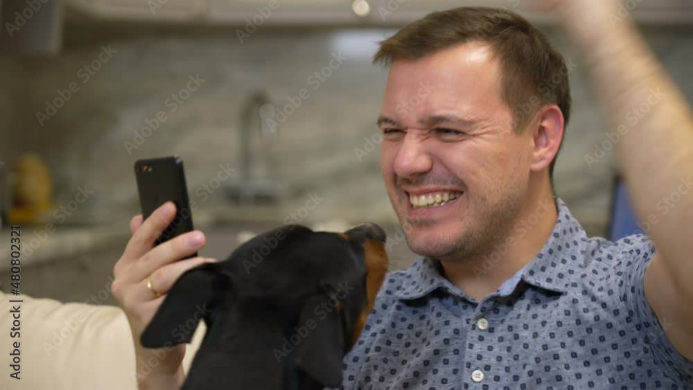 Joyful millennial man sitting on couch, reading sms with good luck news alone at modern living room and his dog distracts him. Cheerful man playing with dog while using phone Joyful millennial man sitting on couch, reading sms with good luck news alone at modern living room and his dog distracts him. Cheerful man playing with dog while using phone
