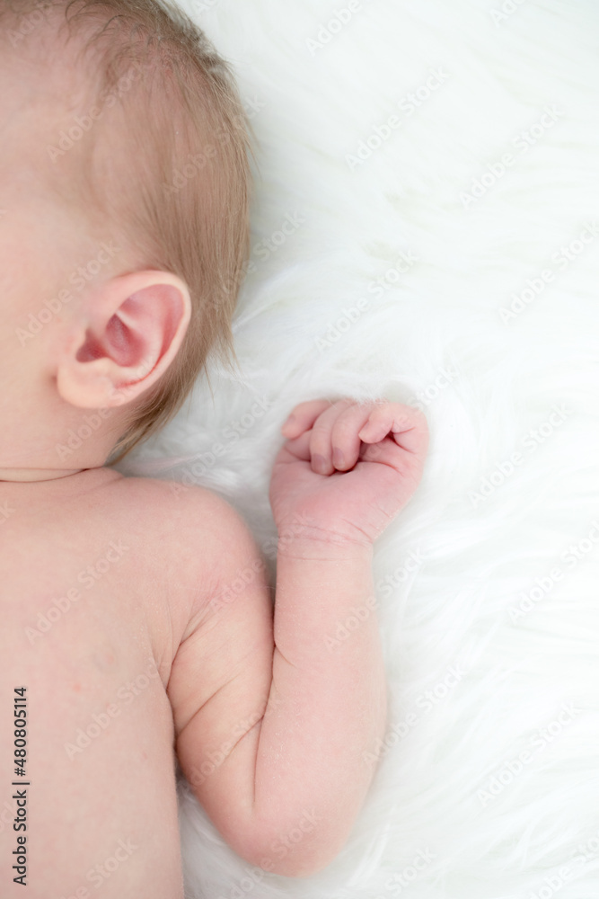 Detailaufnahme Baby, Neugeborenes. 1. Woche, Hand und Arm Detailaufnahme Baby, Neugeborenes. 1. Woche, Hand und Arm