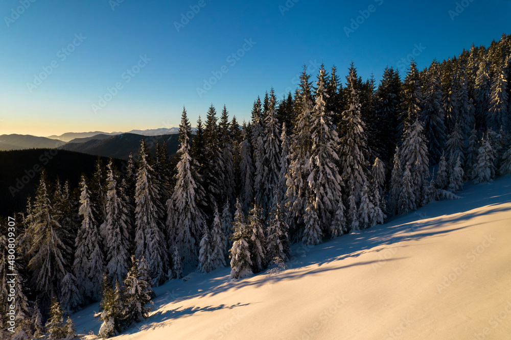 Fantastic morning winter landscape. Clean winter sky. Magical winter forest. Natural landscape with beautiful sky. Trees covered with hoarfrost and snow in mountains.