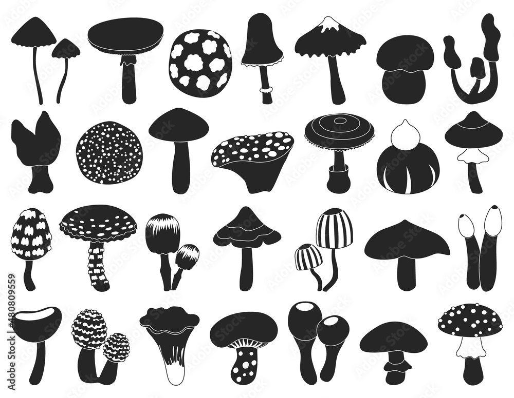 Mushroom toadstool isolated black set icon. Vector illustration fungus on white background.Black vector set icon mushroom toadstool .