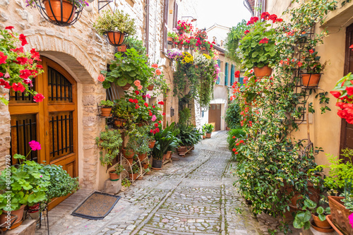 Fototapeta Naklejka Na Ścianę i Meble -  Flowers in ancient street located in Spello village. Umbria Region, Italy.