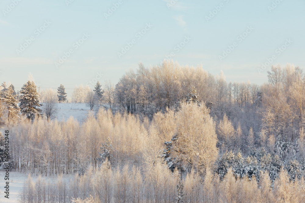 frozen winter trees at sunrise frozen winter trees at sunrise