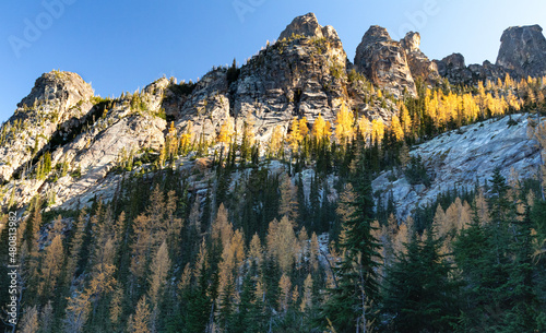 fall forest in the granite mountains photo