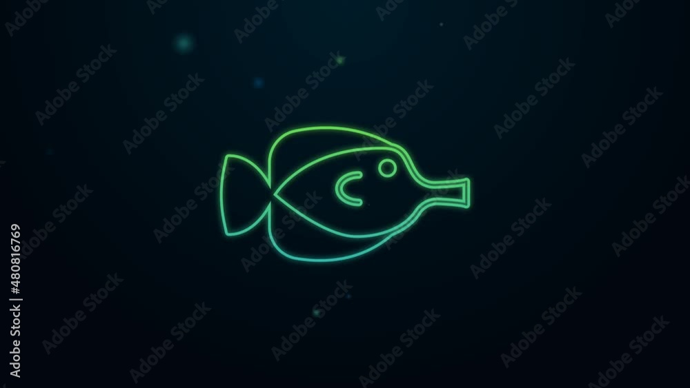 Glowing neon line Butterfly fish icon isolated on black background. 4K Video motion graphic animation Glowing neon line Butterfly fish icon isolated on black background. 4K Video motion graphic animation