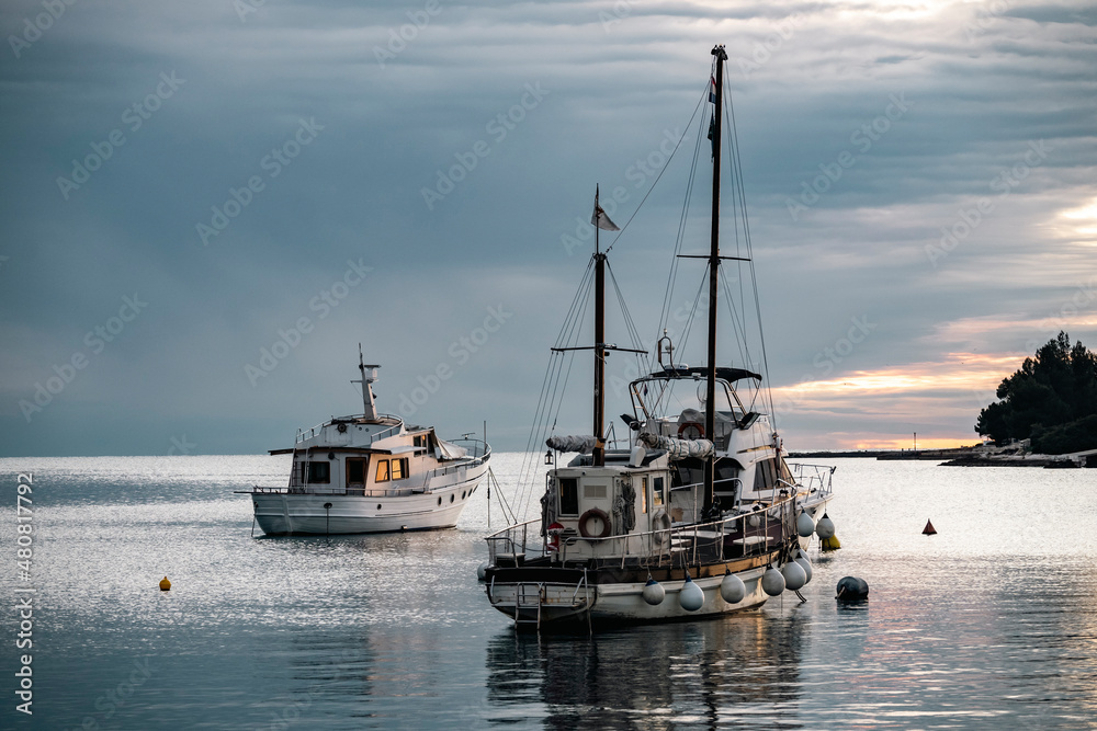 boats in the harbor