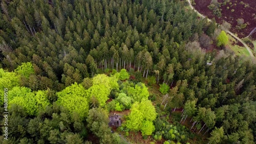 Forest with green trees and brown hills