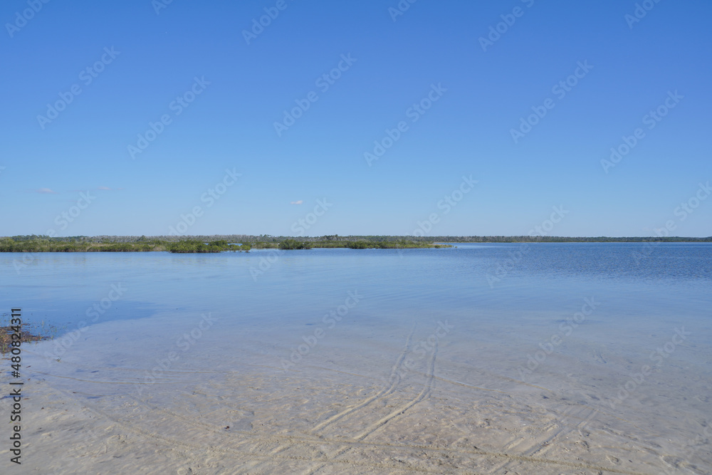 Alfred A McKethan Pine Island Park beach in Hernando county Florida Alfred A McKethan Pine Island Park beach in Hernando county Florida