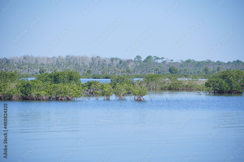 Alfred A McKethan Pine Island Park in Hernando County of Florida Alfred A McKethan Pine Island Park in Hernando County of Florida