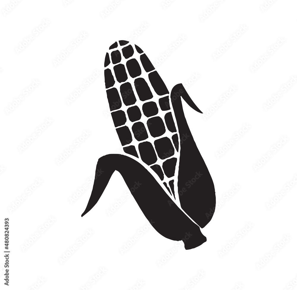 Agriculture and Farming concept. Simple sticker with small open ear of corn. Harvest of legumes. Design element for packages. Cartoon flat hand drawn vector illustration isolated on white background Agriculture and Farming concept. Simple sticker with small open ear of corn. Harvest of legumes. Design element for packages. Cartoon flat hand drawn vector illustration isolated on white background