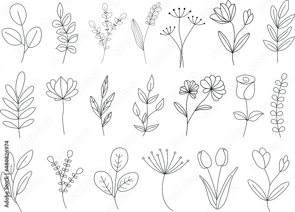 Big vector set of linear plants and flovers. Hand drawn botanical icons.Vector illustration