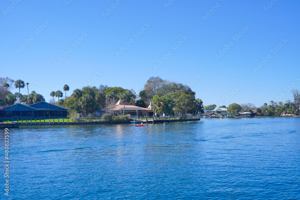 beautiful tree, clear water, and house along homossasa river in winter. 