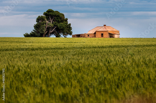 barn in the field