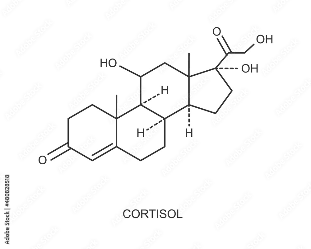 Cortisol hormone icon. Hydrocortisone chemical molecular structure isolated on white background. Vector outline illustration.