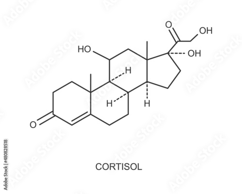 Cortisol hormone icon. Hydrocortisone chemical molecular structure isolated on white background. Vector outline illustration.