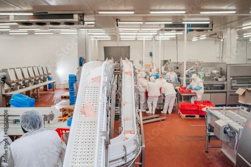 Conveyor Belt Food.The meat factory. Chicken fillet production line . Factory for the production of food from meat.Modern poultry processing plant.