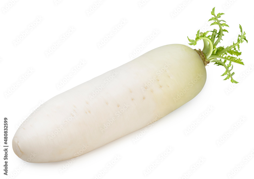 Fresh white daikon radish isolated on the white background, White radish on white Background with clipping path. Fresh white daikon radish isolated on the white background, White radish on white Background with clipping path.