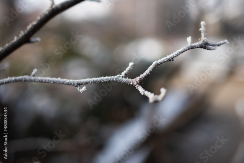 Wallpaper Mural Snow Torontodigital.ca
