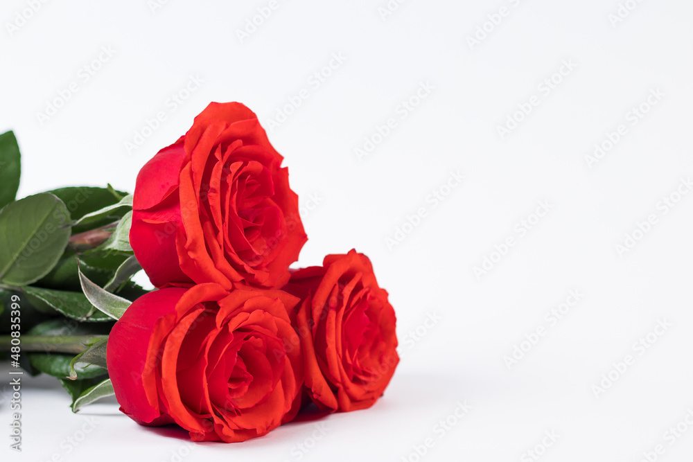 Bouquet of red roses and hearts on a white background. Valentine's day February 14. Place for your text. Bouquet of red roses and hearts on a white background. Valentine's day February 14. Place for your text.