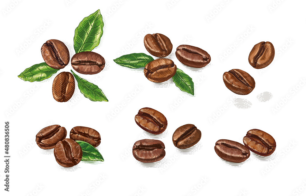 colorful set coffee beans Hand drawing sketch engraving illustration ...