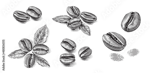 set coffee beans Hand drawing sketch engraving illustration style