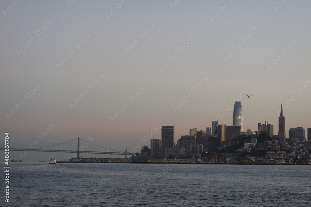 SF city skyline 