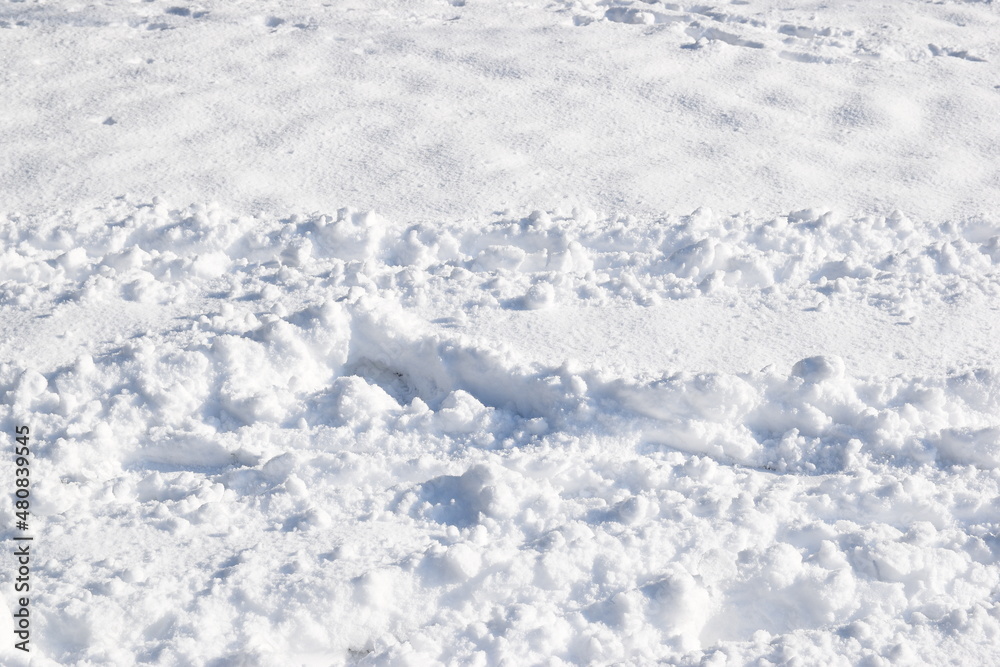 Snow texture Snow texture