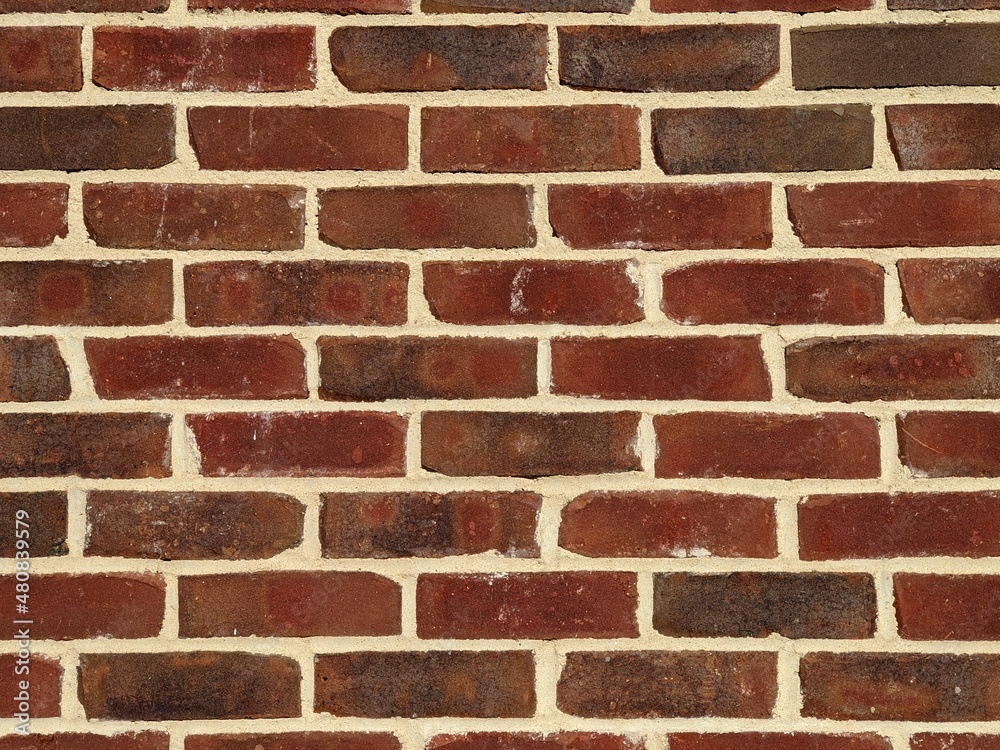 Obraz premium Brick wall texture