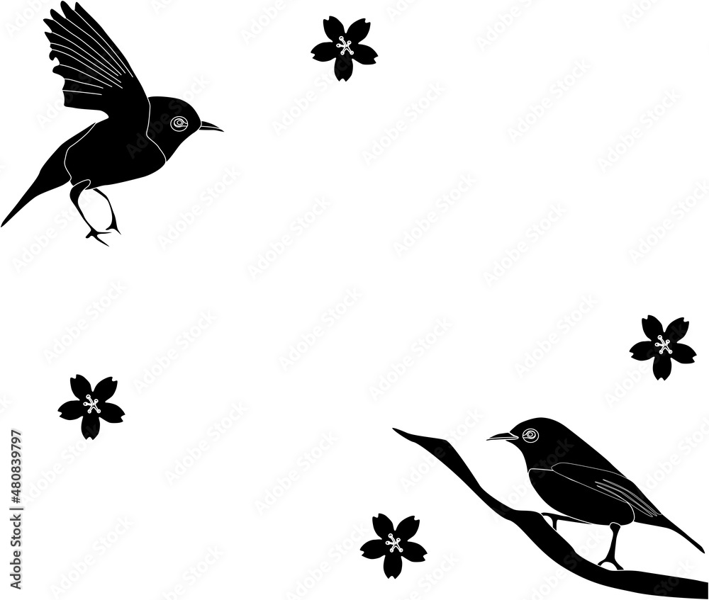 2羽の可愛いメジロのシルエット Stock Vector Adobe Stock