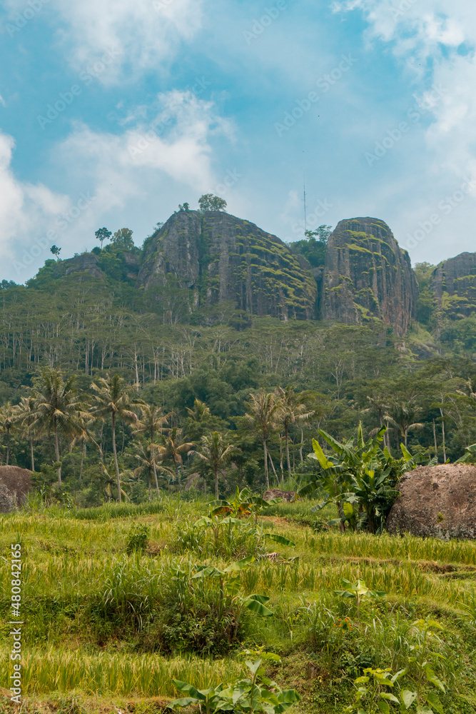 Nglanggeran Ancient Volcano, Which Looks Very Amazing From A Distance Nglanggeran Ancient Volcano, Which Looks Very Amazing From A Distance
