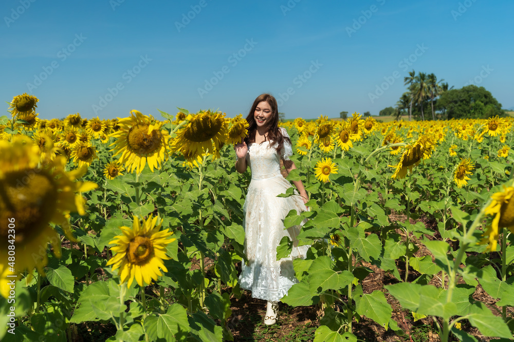 woman walking and enjoying with sunflower field woman walking and enjoying with sunflower field