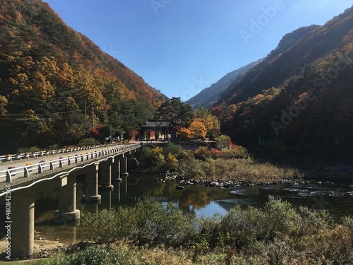 bridge leading to temple gate 