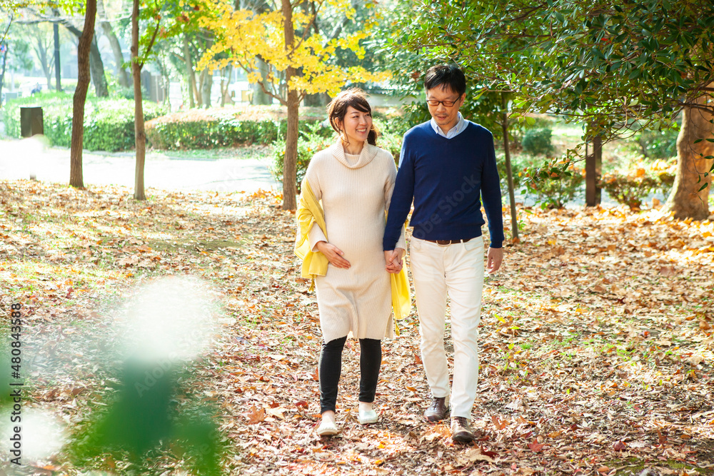Obraz premium 妊娠中の妻と手を繋いで、秋の公園を散歩する夫