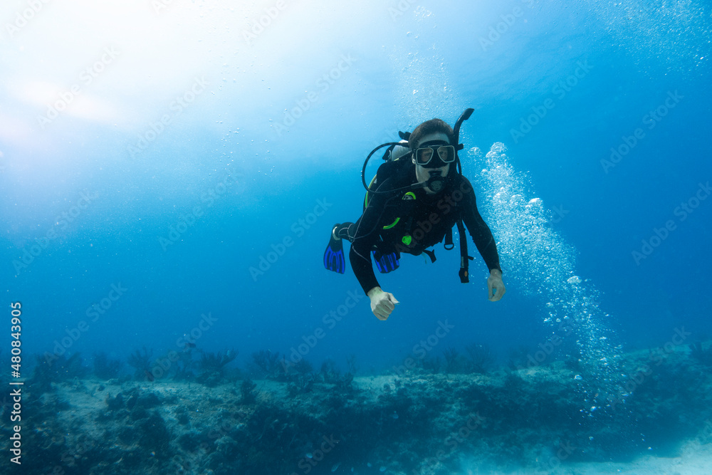 diver surprised by the coral reef diver surprised by the coral reef