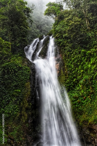 waterfall in the forest