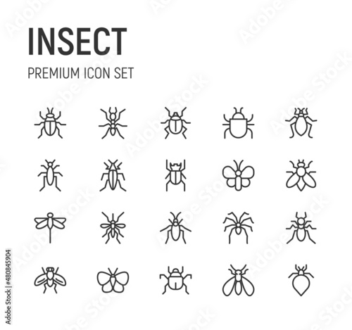 Set of insect line icons.