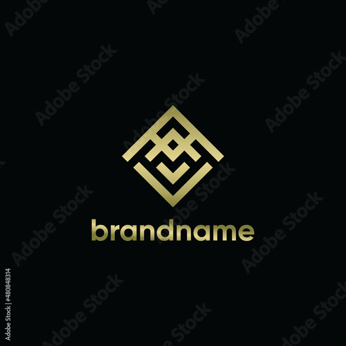 ELEGANT LUXURIOUS LETTER AV ABSTRACT LOGO