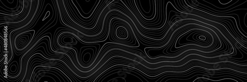 Imitation of a geographical map, white lines on dark background, vector design