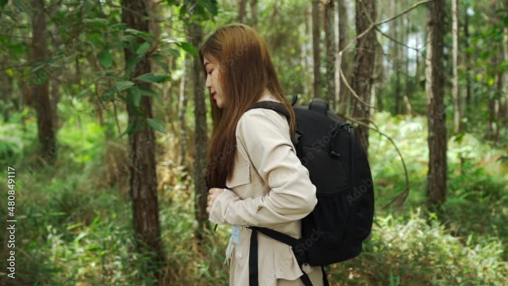 slow-motion of young woman carrying a backpack travel and walking in the forest slow-motion of young woman carrying a backpack travel and walking in the forest