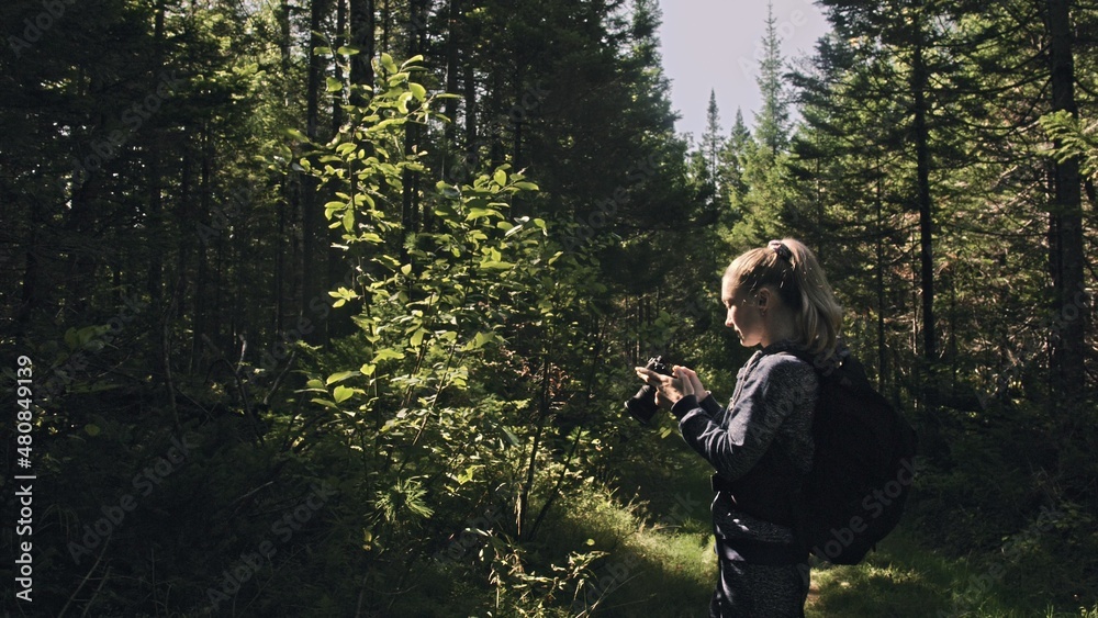 Traveler photographing scenic view in forest. One caucasian woman shooting nice magic look. Girl take photo video on dslr mirrorless camera. Traveler photographing scenic view in forest. One caucasian woman shooting nice magic look. Girl take photo video on dslr mirrorless camera.