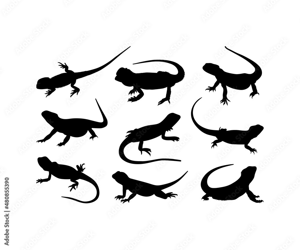 Bearded Dragon silhouette, Bearded Dragon svg, Bearded Dragon Vector