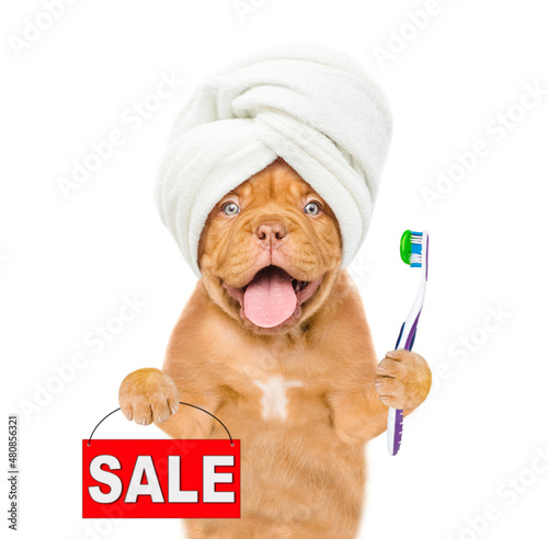 Happy Mastiff puppy with towel on it head holds toothbrush with toothpaste and shows sales symbol. isolated on white background photo