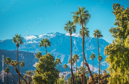 Winter in the City of Palm Springs California photo