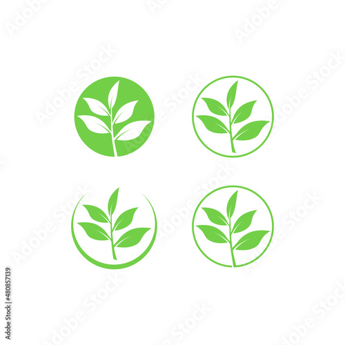 leaves symbol icon set vector illustration logo concept, leaf plant green isolated vector