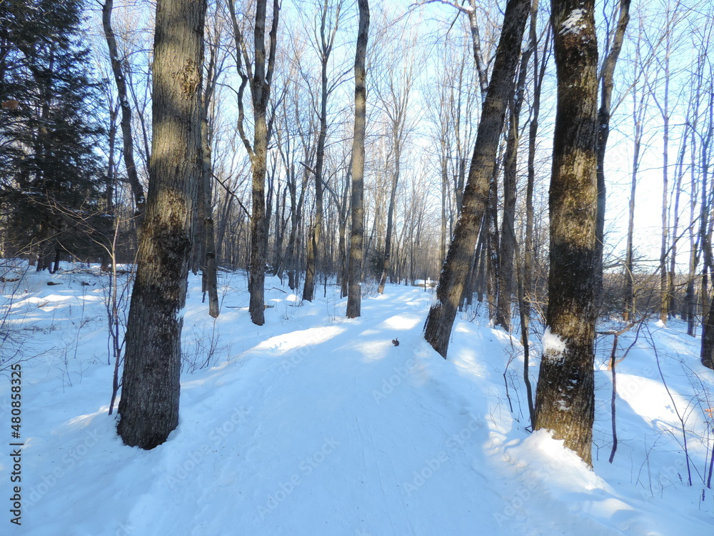 Obraz premium hiver 2022