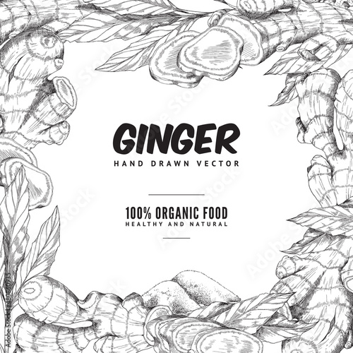 Vector ginger set with root, slice pieces, powder and leaves in square border.