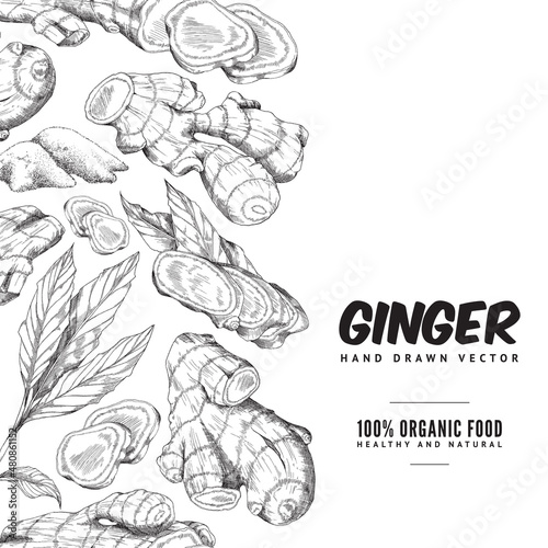 Border ginger set with root, slice pieces, powder and leaves in sketch style.