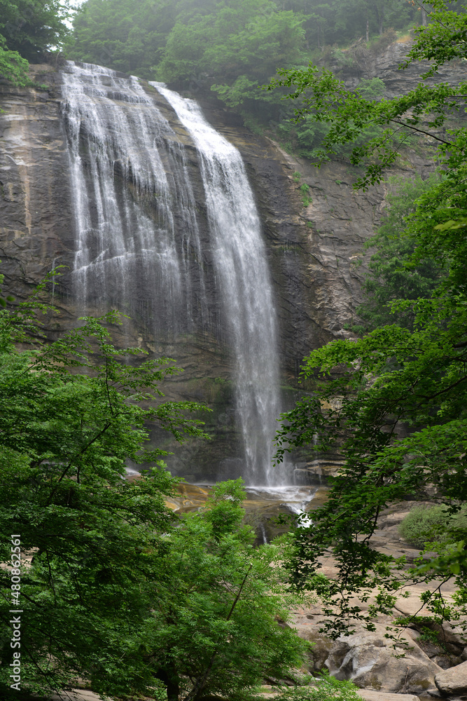 Fototapeta premium waterfall in the forest