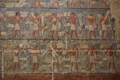 Scenes from the Tomb of Mehu, Saqqara, Egypt