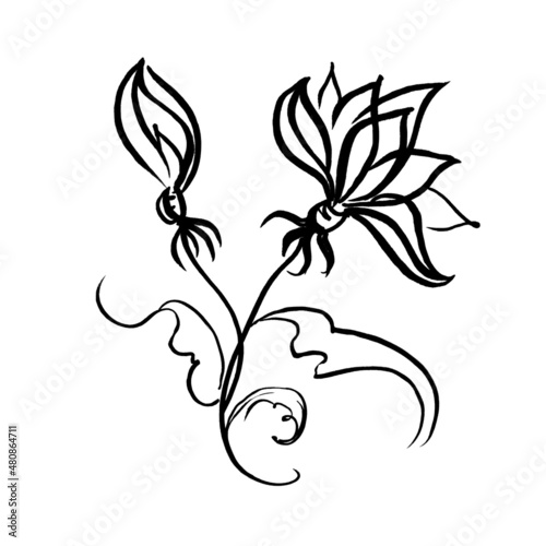 Marker bright black white flower with leaves hand drawn line stroke