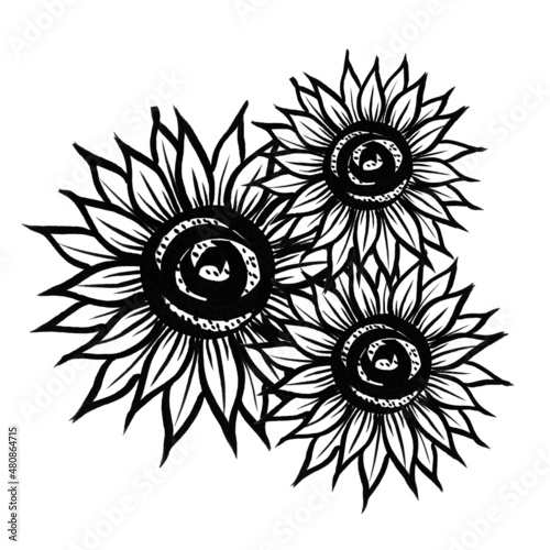 Sunflower marker bright black white flower with leaves hand drawn line stroke